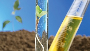 Norma ISO para sustentabilidade da bioenergia