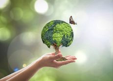 10 dicas importantes para preservar o meio ambiente